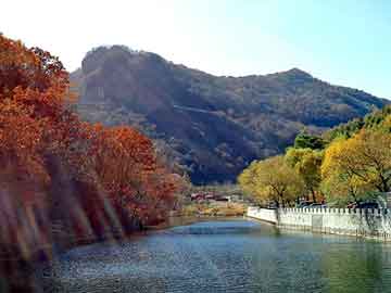 新澳天天开奖资料大全旅游团，伊米特温控器